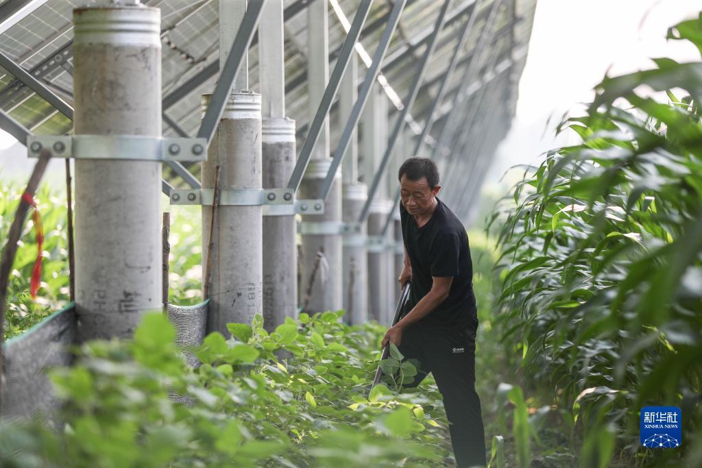 指尖十三水